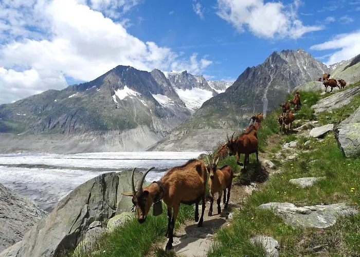 Aragon E112 By Interhome דירה *