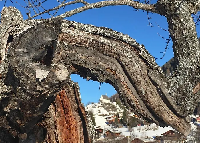 Aragon E112 By Interhome * פיש